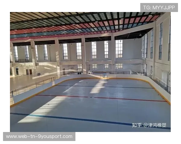 高密度聚乙烯冰球场围栏确保运动员安全，提升比赛体验