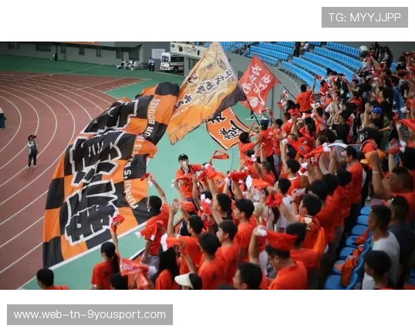 球迷奇迹:你支持的球队最感人的瞬间,《球迷之歌》 球迷奇迹:你支持的球队最感人的瞬间,《球迷之歌》