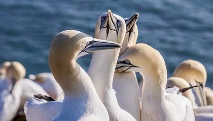 九游娱乐app下载-训练营设立日常作息监管机制促进球员生活习惯健康养成，训练营注意事项