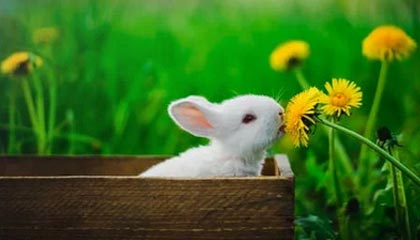 九游官网入口下载-青少年足球培训标准出台明确不同年龄段重点，青少年足球培训机构有哪些品牌