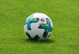 九游网页官网-德甲防守战术转变对定位球防守效果的影响分析，德国足球防守大师